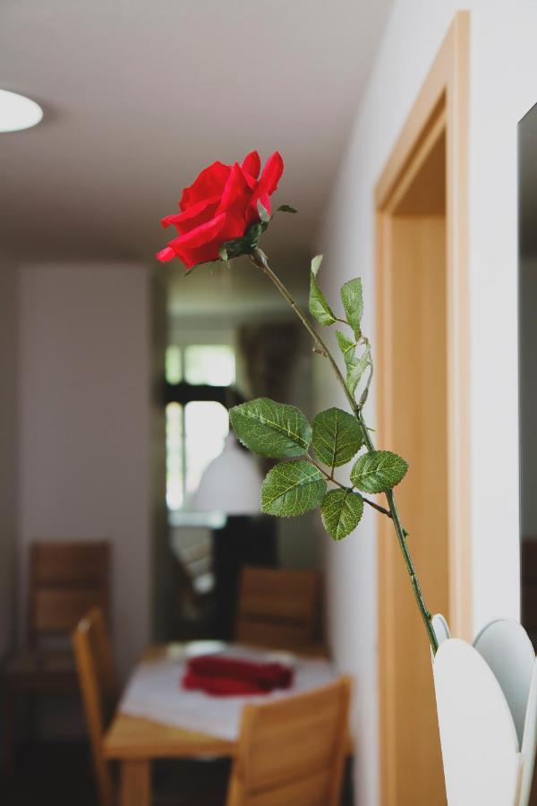 Ferienappartements Schweizer Haus Stolpe  Zimmer foto